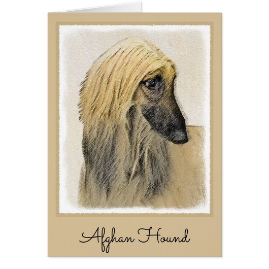 Afghaanse hond schilderen - Kute Original Dog Art (Voorkant)
