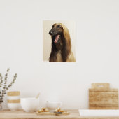 Afghaanse hond zit in de kamer poster (Keuken)