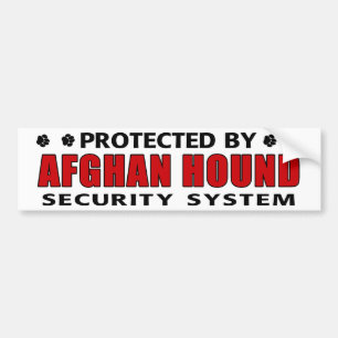 Afghaanse honden-honden bumpersticker