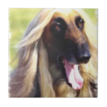 Afghaanse Hound Art