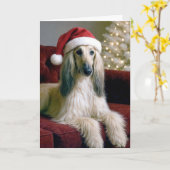 Afghaanse kersthond op een fluwelen bank kaart (Gele Bloem)