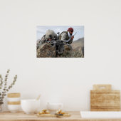 Afghaanse militaire soldaat Cool Warriors Poster (Keuken)