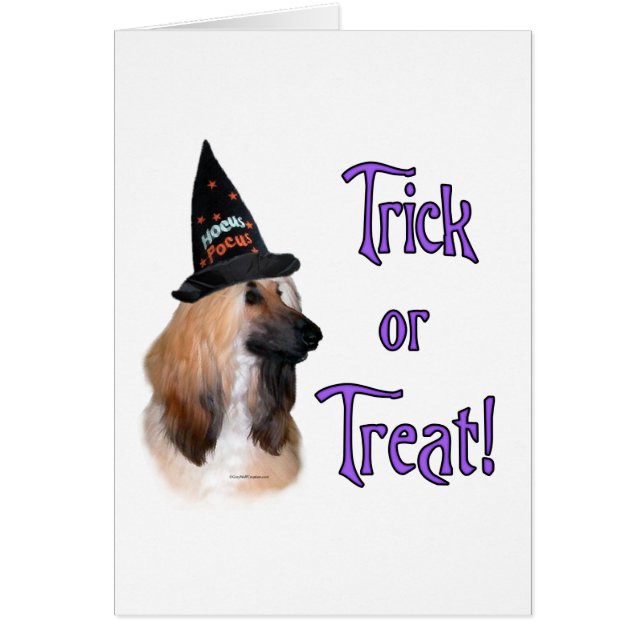 Afghaanse truc (Voorkant)