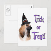 Afghaanse truc briefkaart (Voorkant / Achterkant)