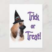 Afghaanse truc briefkaart (Voorkant)