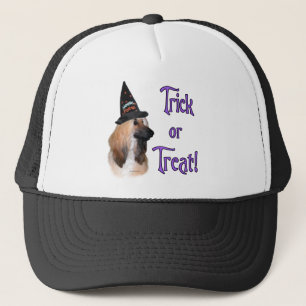 Afghaanse truc trucker pet