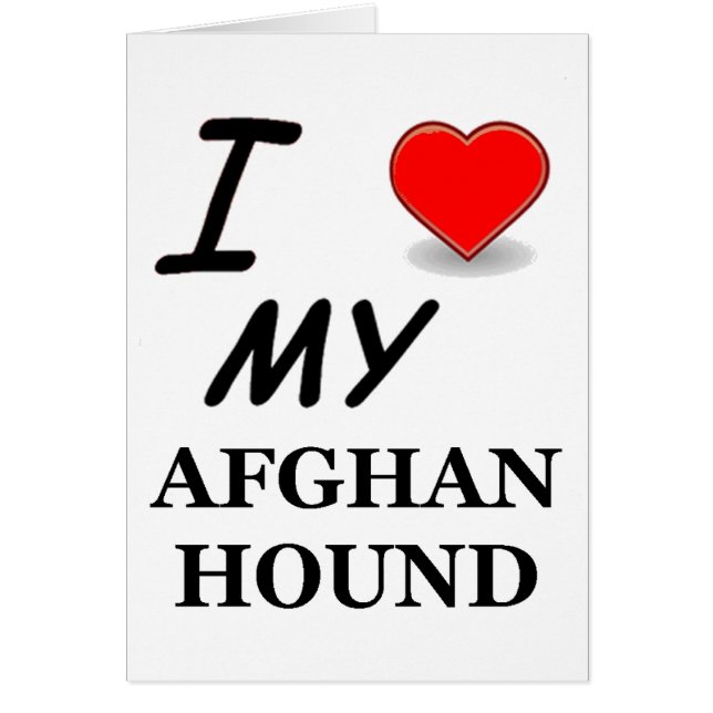 Afghaanse windhond (Voorkant)