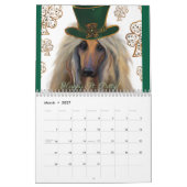 Afghaanse windhond 2025 kalender (Mar 2027)