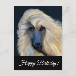 Afghaanse windhond          briefkaart