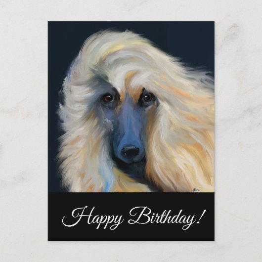 Afghaanse windhond          briefkaart (Voorkant)