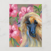 Afghaanse windhond briefkaart (Voorkant)