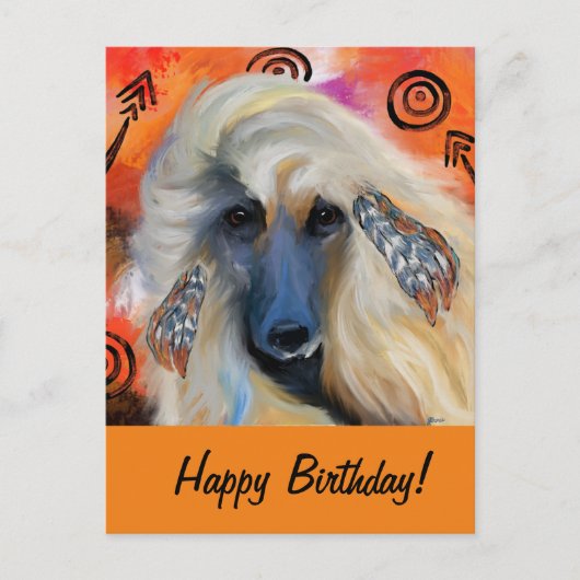 Afghaanse windhond          briefkaart (Voorkant)