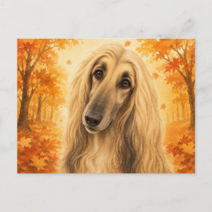 Afghaanse windhond herfst bos hond briefkaart