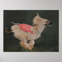 Afghaanse windhond jacht reproductie poster kunst