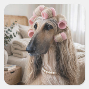 Afghaanse windhond met roze spons krultangen vierkante sticker