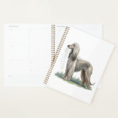 Afghaanse windhond planner (Display)