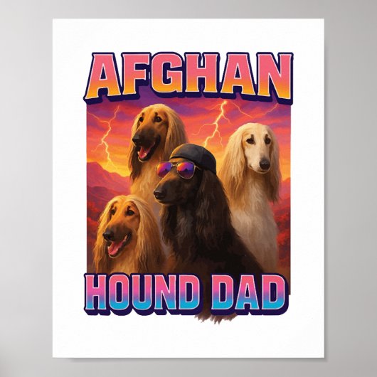 Afghaanse windhond poster (Voorkant)