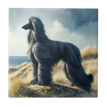Afghaanse windhond