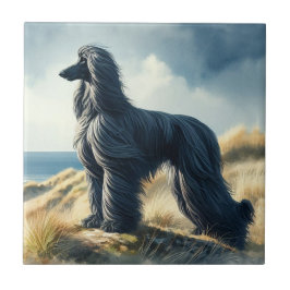 Afghaanse windhond tegeltje