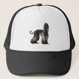 Afghaanse windhond trucker pet