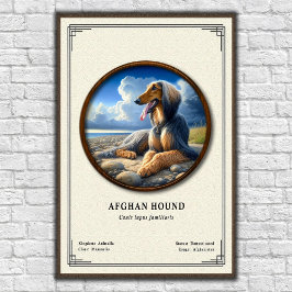 Afghaanse Windhond Zoologie Serie Poster