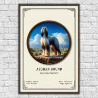 Afghaanse Windhond Zoologie Serie