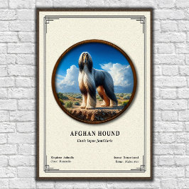 Afghaanse Windhond Zoologie Serie Poster