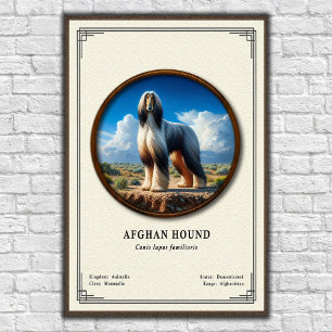 Afghaanse Windhond Zoologie Serie Poster