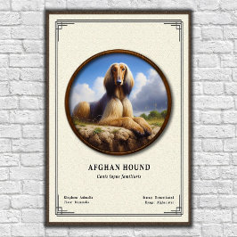 Afghaanse windhond Zoölogie Serie Poster