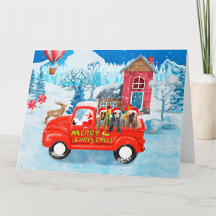 Afghaanse windhonden Hond in Kerst Bezorgwagen Sne Kaart