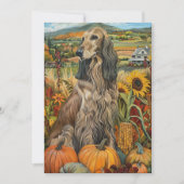 Afghan Hound Autumn Harvest Thanksgiving Dog Feestdagenkaart (Voorkant)