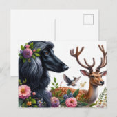 Afghan Hound Briefkaart (Voorkant / Achterkant)