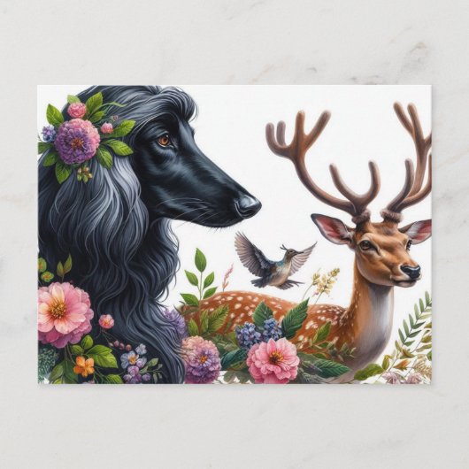 Afghan Hound Briefkaart (Voorkant)