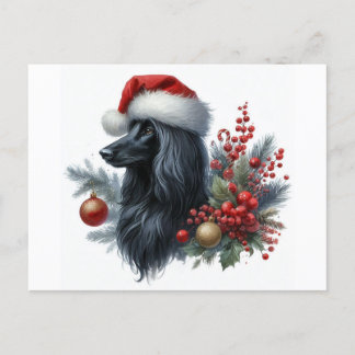 Afghan Hound Briefkaart