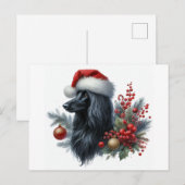 Afghan Hound Briefkaart (Voorkant / Achterkant)