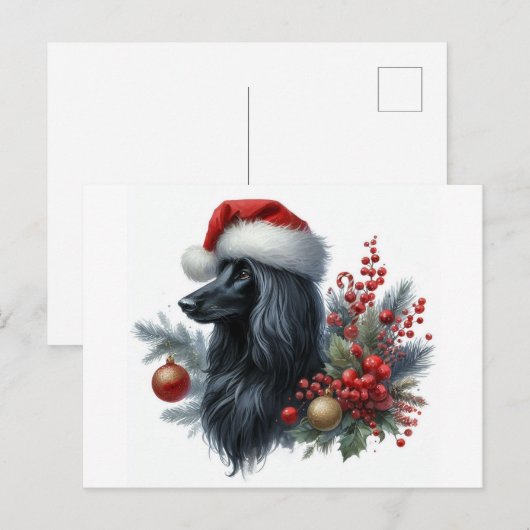 Afghan Hound Briefkaart (Voorkant / Achterkant)