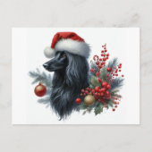 Afghan Hound Briefkaart (Voorkant)