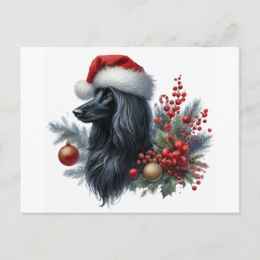 Afghan Hound Briefkaart (Voorkant)