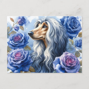 Afghan Hound Briefkaart