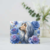 Afghan Hound Briefkaart (Staand voorkant)