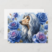 Afghan Hound Briefkaart (Voorkant / Achterkant)