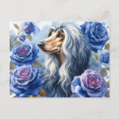 Afghan Hound Briefkaart (Voorkant)