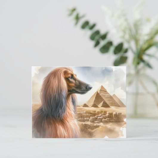 Afghan Hound Briefkaart (Staand voorkant)