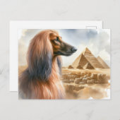 Afghan Hound Briefkaart (Voorkant / Achterkant)