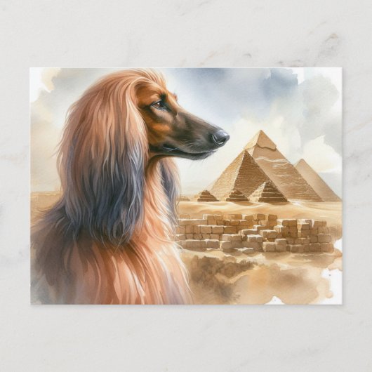 Afghan Hound Briefkaart (Voorkant)