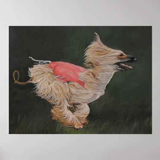 Afghan Hound Coursing Reproduction Poster Art (Voorkant)