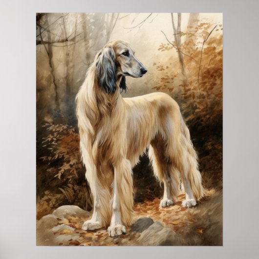 Afghan Hound Dog Art Print Poster (Voorkant)