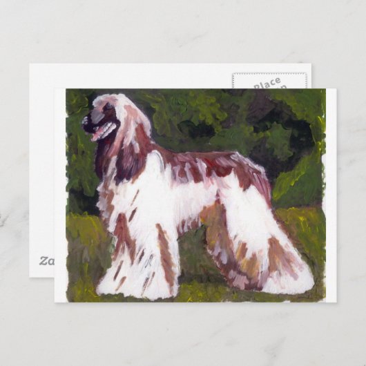 Afghan Hound Dog Briefkaart (Voorkant / Achterkant)