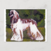 Afghan Hound Dog Briefkaart (Voorkant)