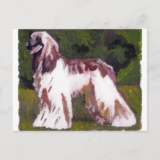 Afghan Hound Dog Briefkaart (Voorkant)